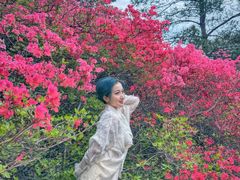 -木兰云雾山
