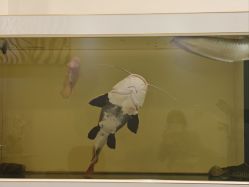 -FUMEIHUI·科技美肤·美体SPA