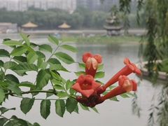 -陶然亭公园