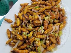 -天强农家菜馆