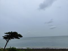 -灵山岛风景区