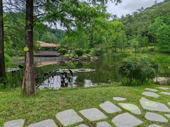 -云溪植物园