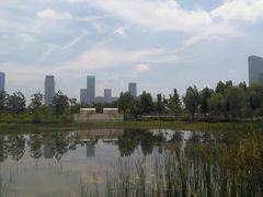-天鹅湖体育公园