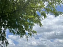 -苏州湾体育公园