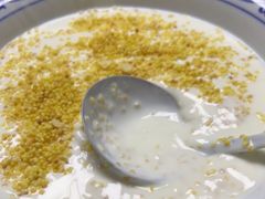 -中国马镇舞马世界主题乐园