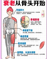 -悦瑢港湾科技美肤芳疗美容