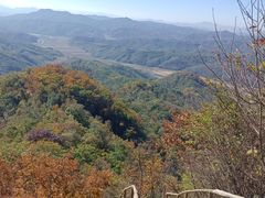 -天女山森林公园