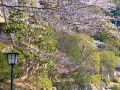 -月光园游月山庄