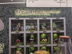 -芸山季·云南山珍菌火锅(南翔印象城MEGA店)