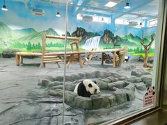 -秦皇岛野生动物园