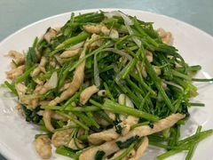 芫爆鸡丝-听涛雅苑百味饺子老家菜馆