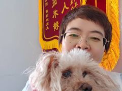 -派美特宠物医院·核磁CT·骨科肿瘤·疑难转诊(沈农禾丰店)
