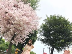 -杭州湾海上花田景区