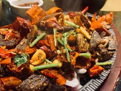-蒙料·手把肉(望京店)