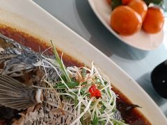 -龙景軒大酒店(共康店)