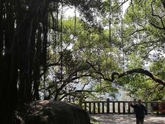 -乌山风景区