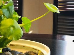 -萬國春·中菜馆(颐和公馆店)