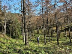 -四明山国家森林公园