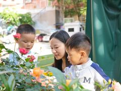 -金豆子幼稚园