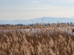 -野鸭湖国家湿地公园