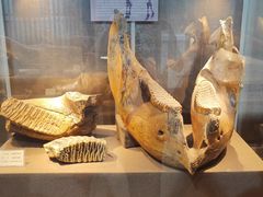 -丁村民俗博物馆