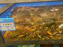 -东海怡品海鲜豆捞(舟宿夜江店)