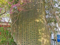 -南汇桃花村