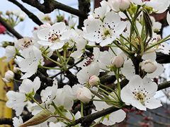 -中国天府农业博览园