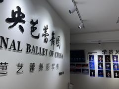 -中央芭蕾舞团·中芭艺蕾(酒仙桥明星校区)