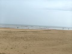 -日照海滨国家森林公园