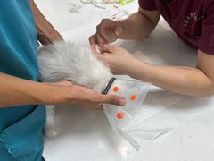 -中农大我爱我爱动物医院·核磁CT·猫病·24小时夜诊中心(石佛营店)