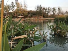 -佛手湖郊野公园