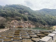 -北仑森林植物园