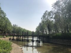 -杨柳青庄园