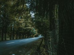 -山王坪喀斯特国家生态公园