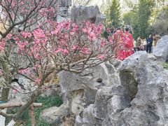 -莫愁湖公园