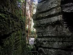 -梭布垭石林景区