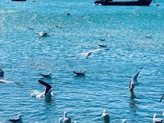 -银沙滩浴场
