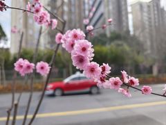 -新江湾城公园