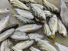 -板桥海鲜广场(文明东店)