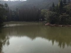 -滴水岩森林公园