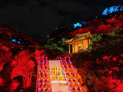 -印象普陀