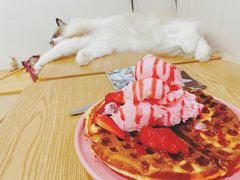-李小姐の猫咖啡馆(五角场店)