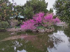 -叶家花园