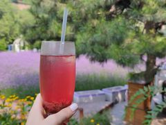 -云峰山自然风景区