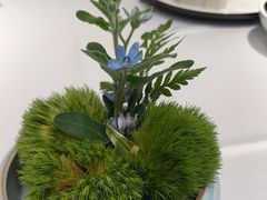 -苏福记·海鲜佬(凤城四路店)