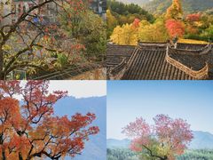 -塔川景区