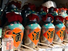 -蒲河大集