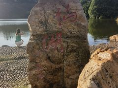 -深圳仙湖植物园