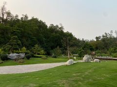 -深圳仙湖植物园